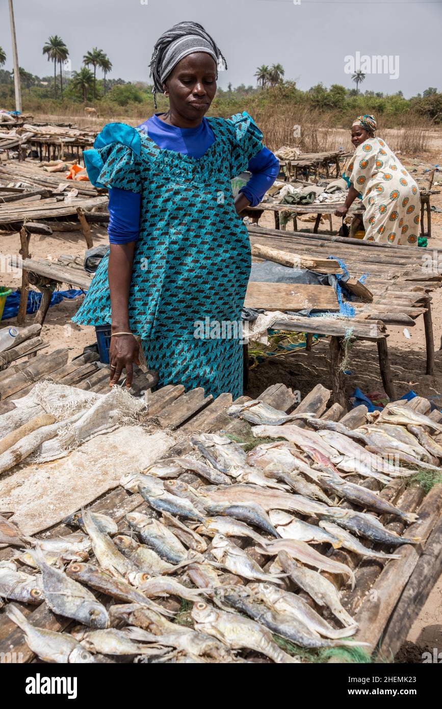 Frau an einem Fischtrockner an der Küste von Sanyang in Gambia Stockfoto