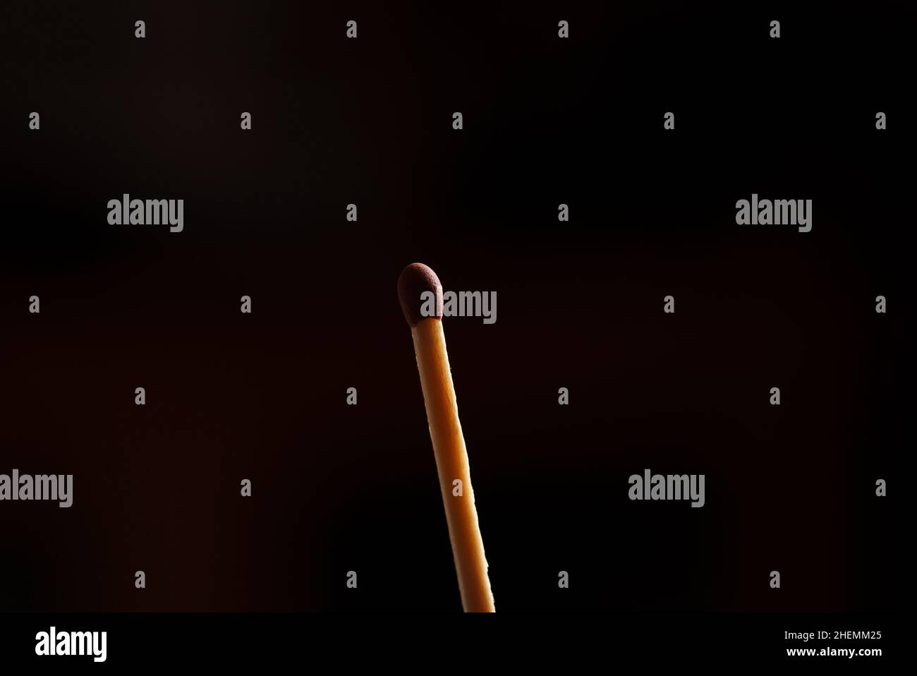Nahaufnahme des Streichholzes aus Holzstab und braunem Kopf vor schwarzem Hintergrund im Studio Stockfoto