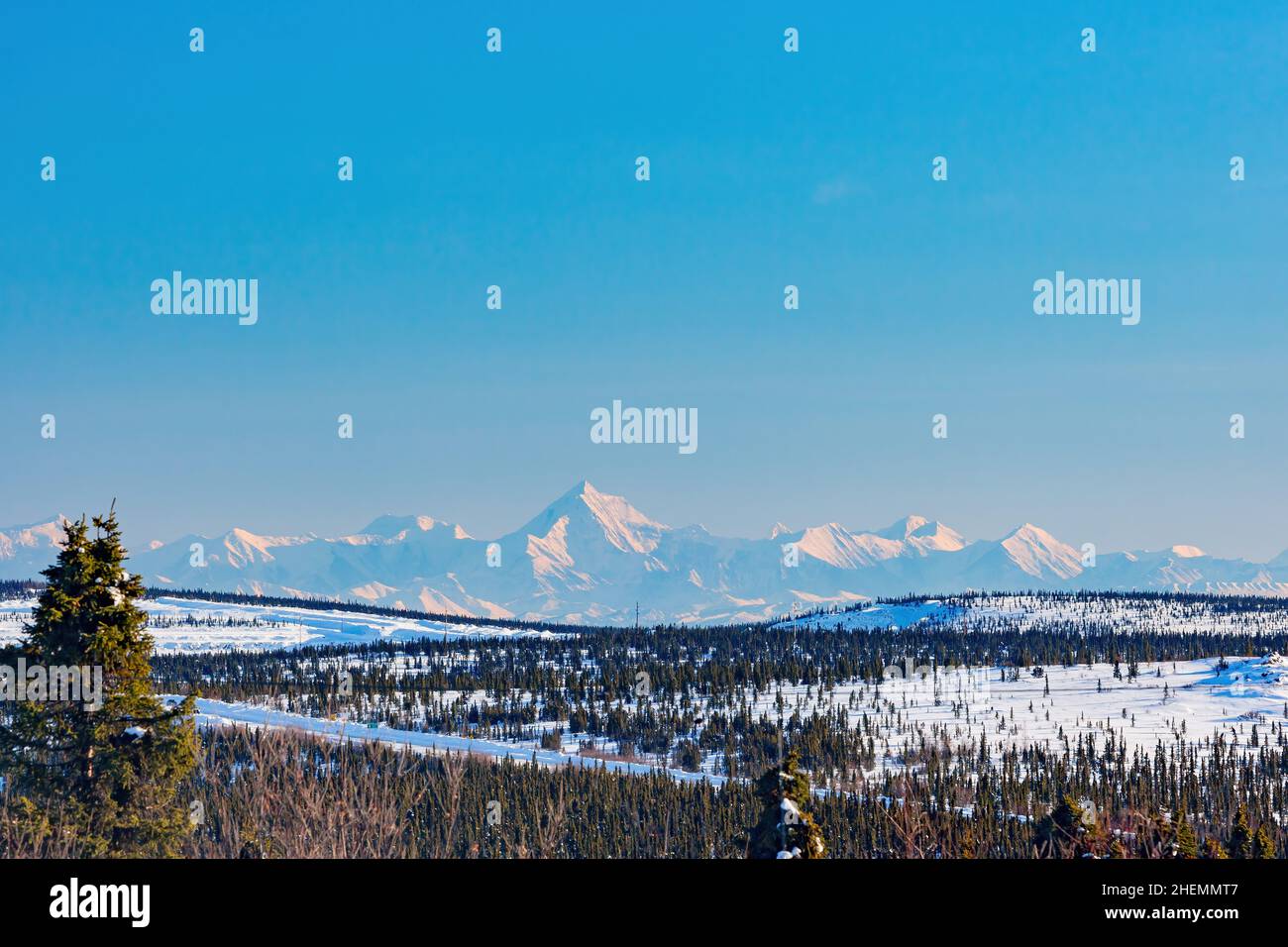 Nachmittagslandschaft im Denali National Park und Preserve mit Mount McKinley in Fairbanks, Alaska Stockfoto