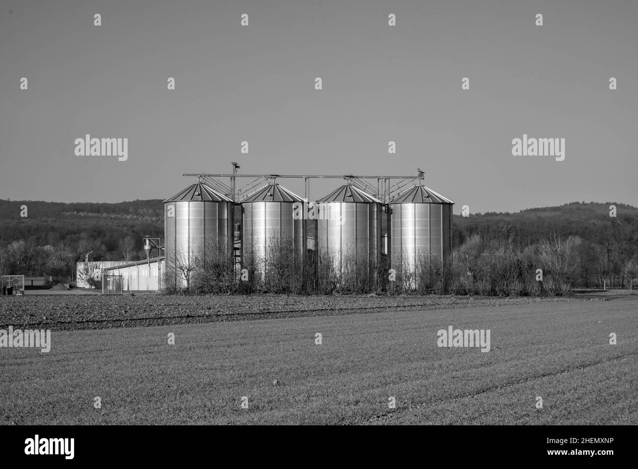 Silbern glänzende Silos auf dem Feld im Herbst Stockfoto