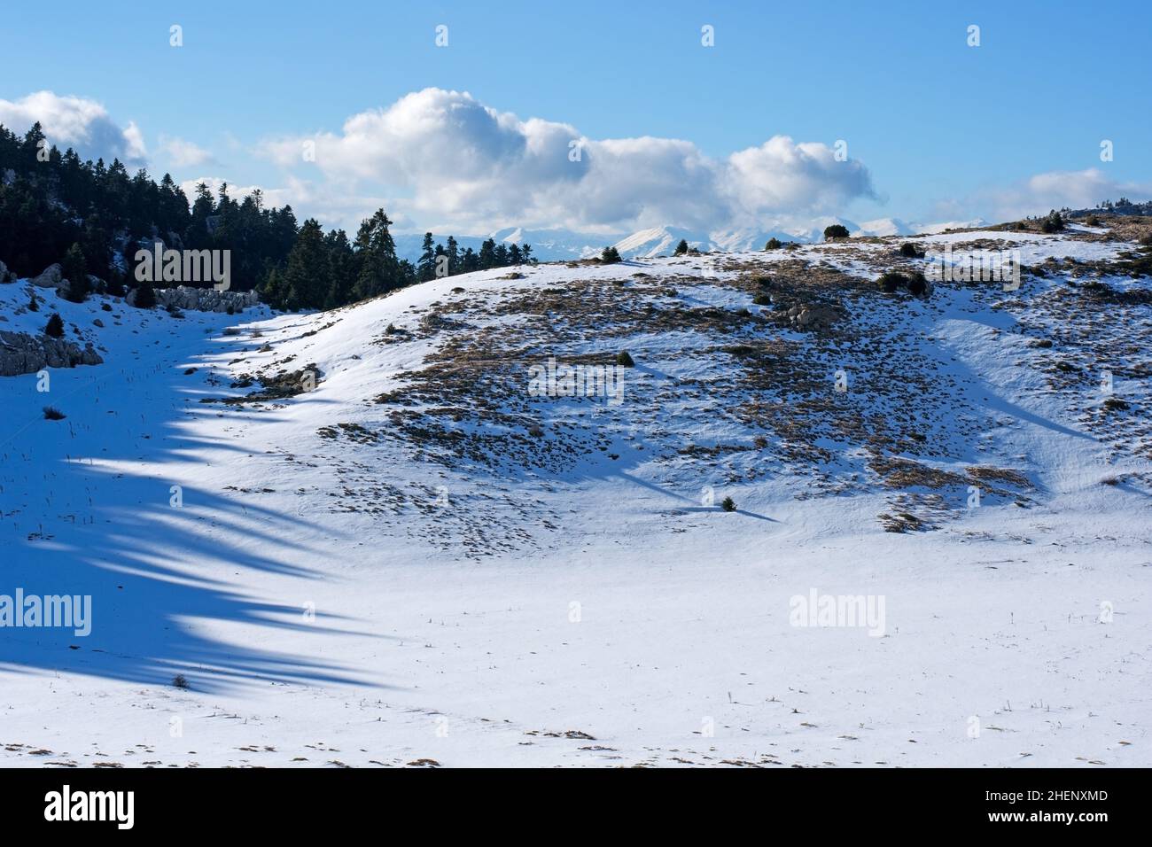 Verschneite Landschaft am Berg Parnassos, Griechenland Stockfoto