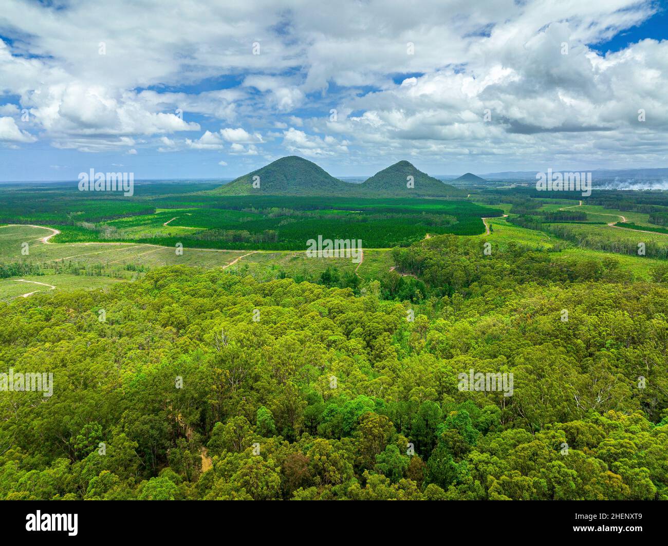 Der Tunbububudda ist eigentlich zwei Berge: Ost und West. Sie sind auch als ‘die Zwillinge' oder ‘die Brüste’ der Glass House Mountains bekannt. Stockfoto