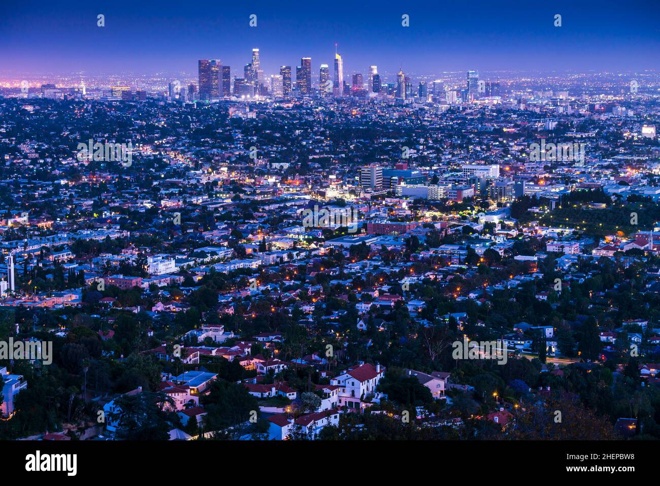 Wunderschöne Skyline von Los angeles bei Nacht, Los angeles, kalifornien, usa. Stockfoto