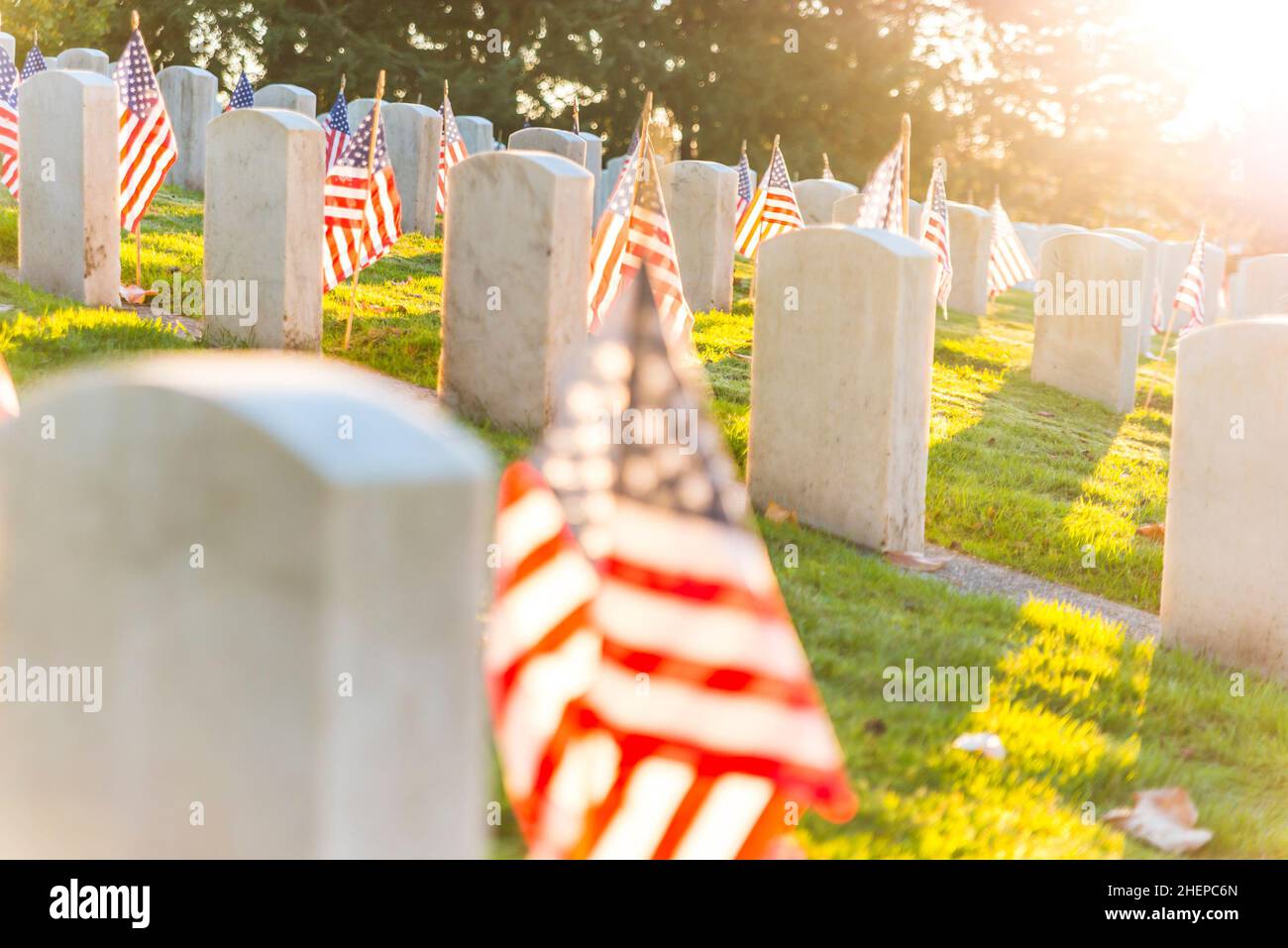 Veterans Day, Szene der militärischen Friedhofslandschaft mit einer Flagge im Herbst. Für Editorial. Stockfoto