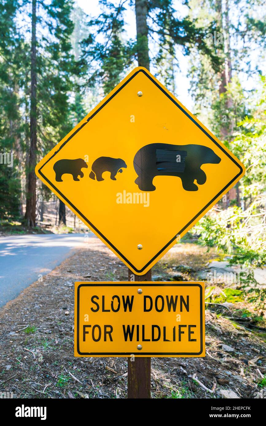 Halten Sie sich auf der Straße im Nationalpark auf dem Schild. Stockfoto