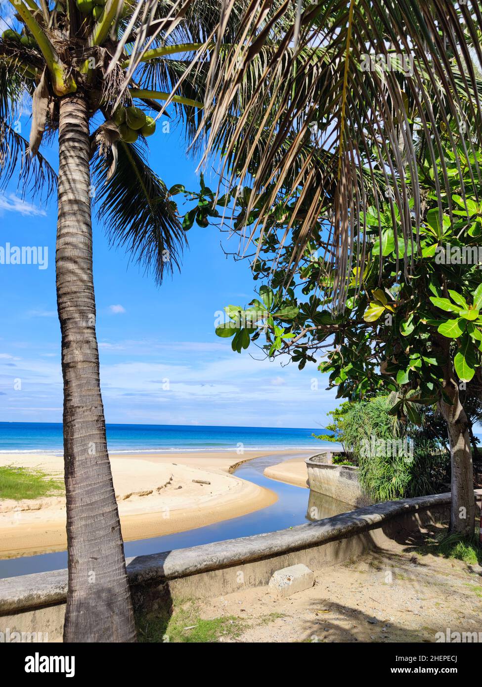 Thailand Phuket Karon Beach Kokospalmenfluss zum Meer Stockfoto