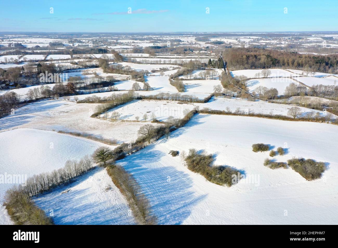 Verschneite Kulturlandschaft mit Weiden und Hecken, Drohnenfoto, Deutschland, Schleswig-Holstein Stockfoto