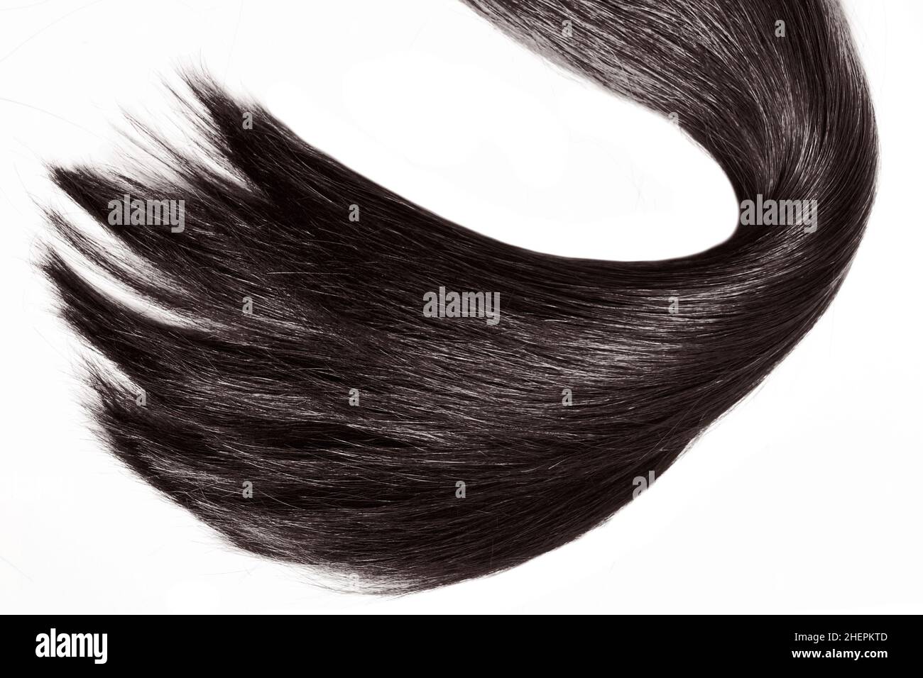 Schwarzes Haar natürlich, isoliert auf weißem Hintergrund, Schönheit Stockfoto