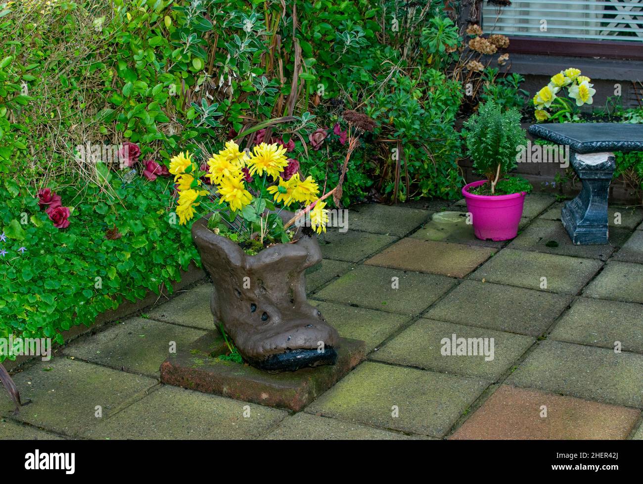 Dekorative Gartentöpfe, Blumen im Garten Stockfoto