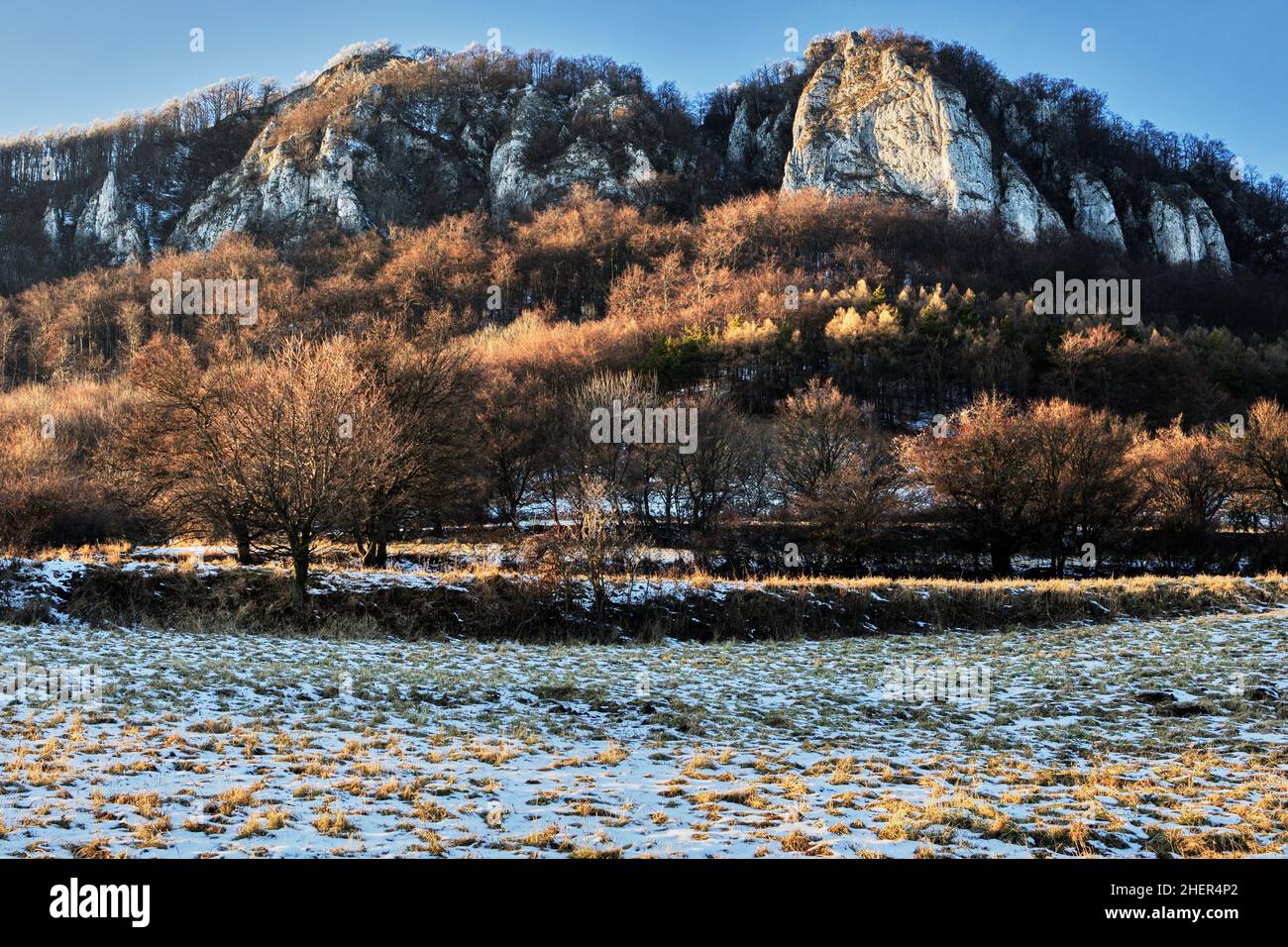 Berglandschaft im Winter bei Sonnenuntergang. Die untergehende Sonne beleuchtet die Bäume und Felsen. Seitenleuchte. Schutzgebiet Vrsatec, Slowakei. Stockfoto