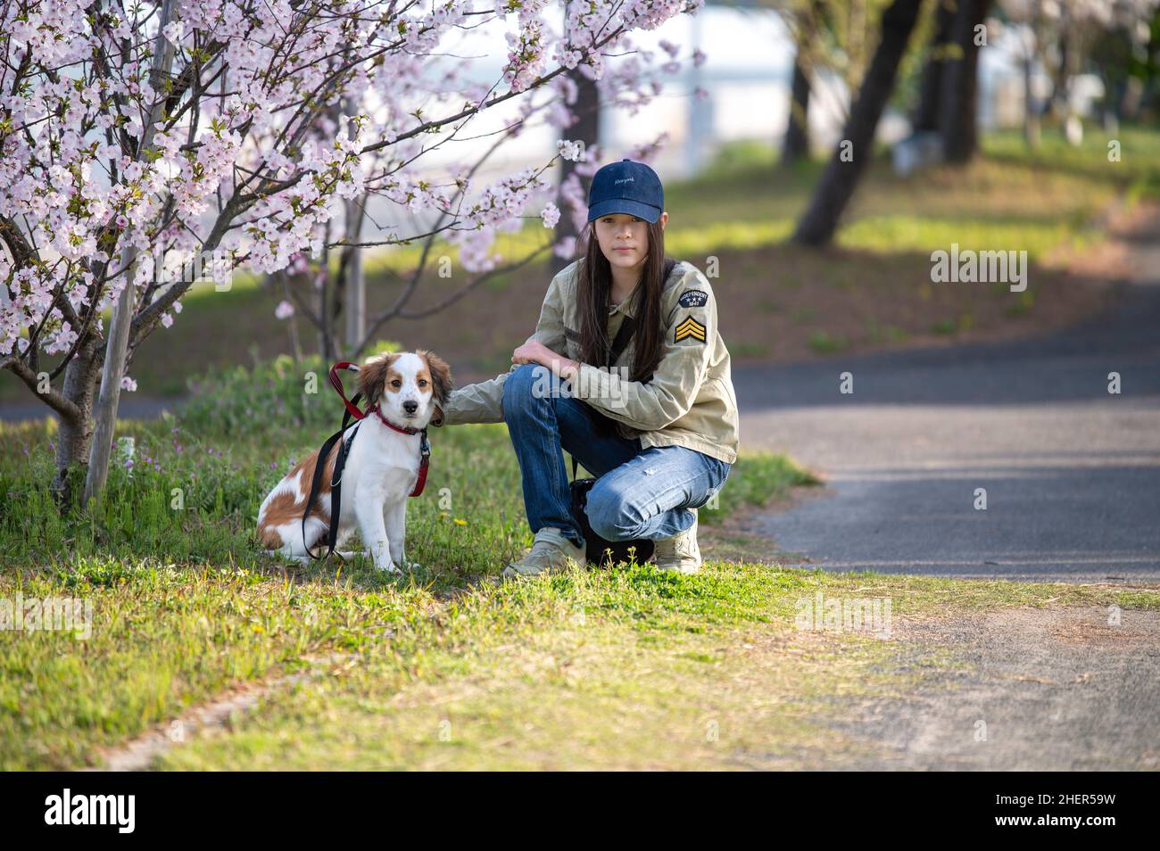 Junges Mädchen, das neben der Kirschblüte hockt, mit ihrem unheimlichen Hund. Frühling. Stockfoto