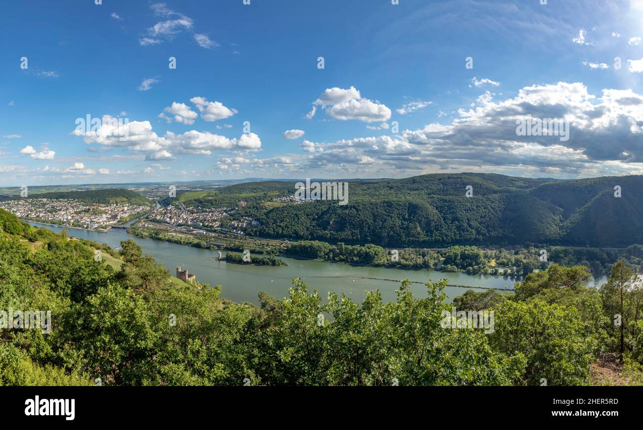 Blick auf den Rhein und die nahe bei Rüdesheim Stockfoto