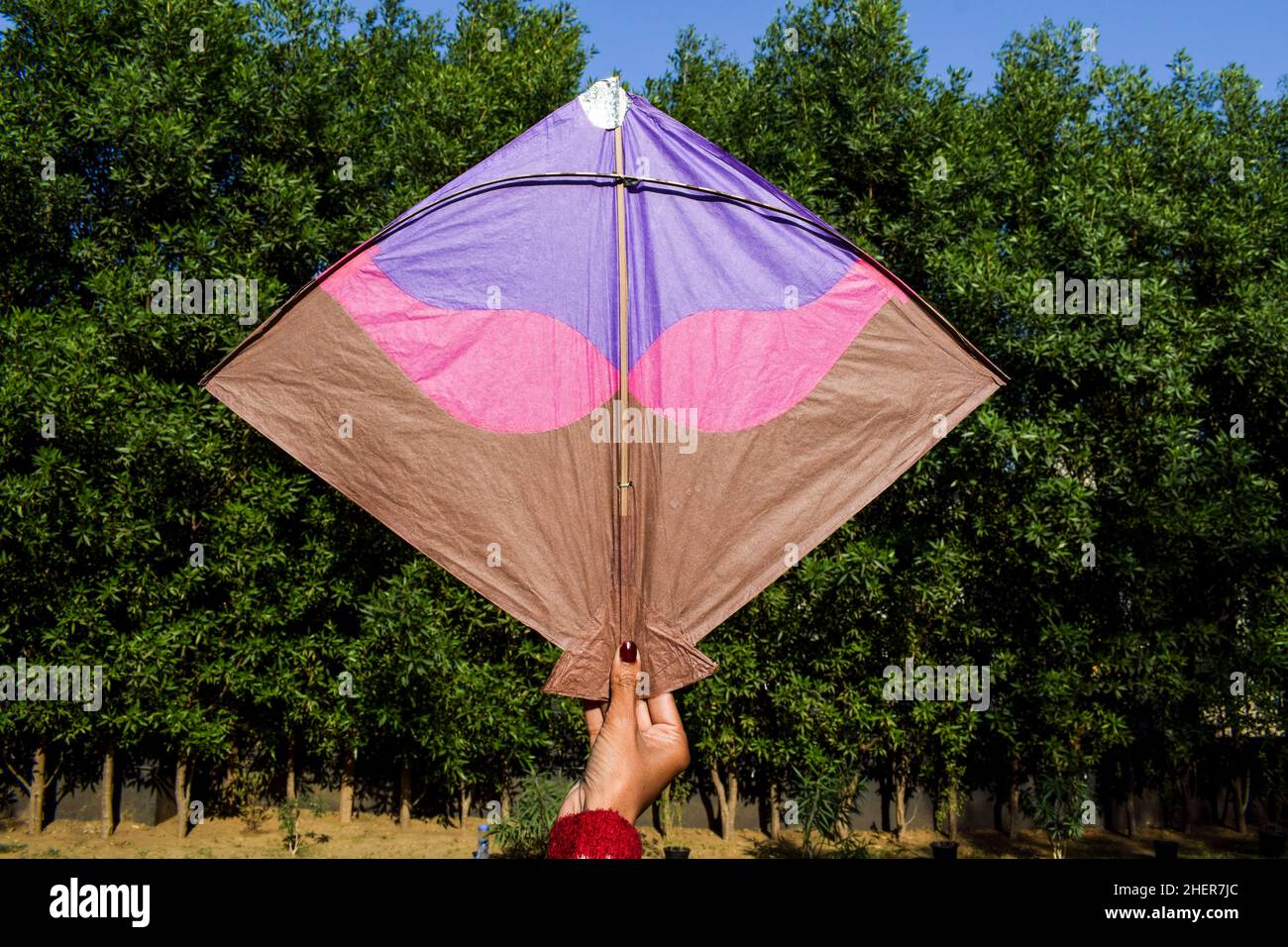 Weibchen halten und fliegen einen großen Drachen mit Naturhintergrund anlässlich des indischen Drachenfliegerfestivals von Makar sankranti oder Uttaryan, Pongal, Lohri c Stockfoto