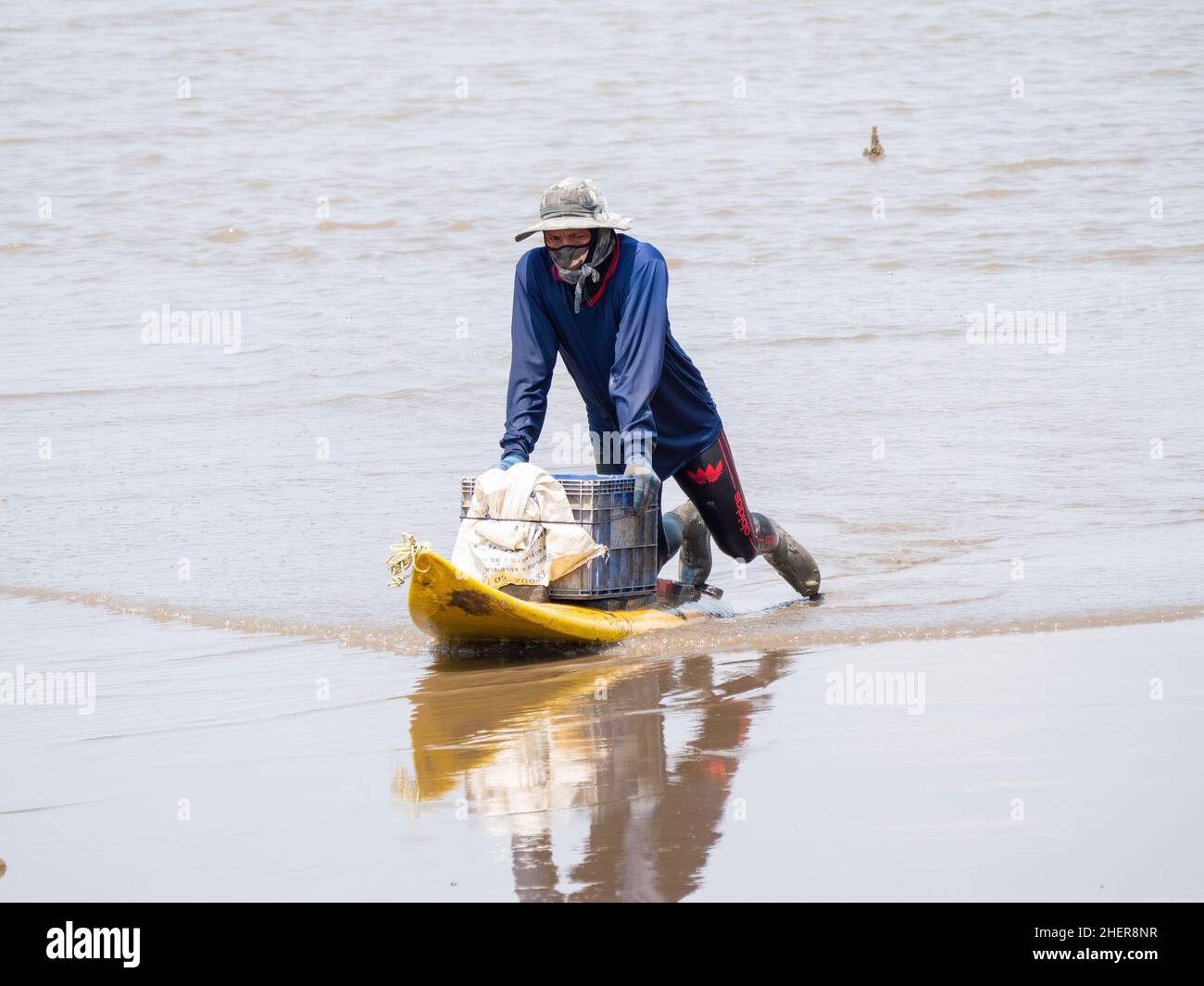 Mann, der bei Ebbe Muscheln sammelt, in der Nähe des Dorfes Ban Si Long in der thailändischen Provinz Samut Prakan. Er benutzt ein altes Surfbrett, um zu st Stockfoto