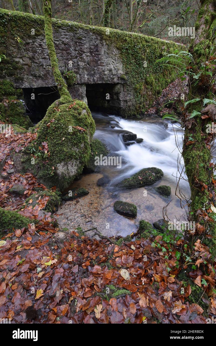 Eine Brücke bei Kennall Valle Cornwall Stockfoto