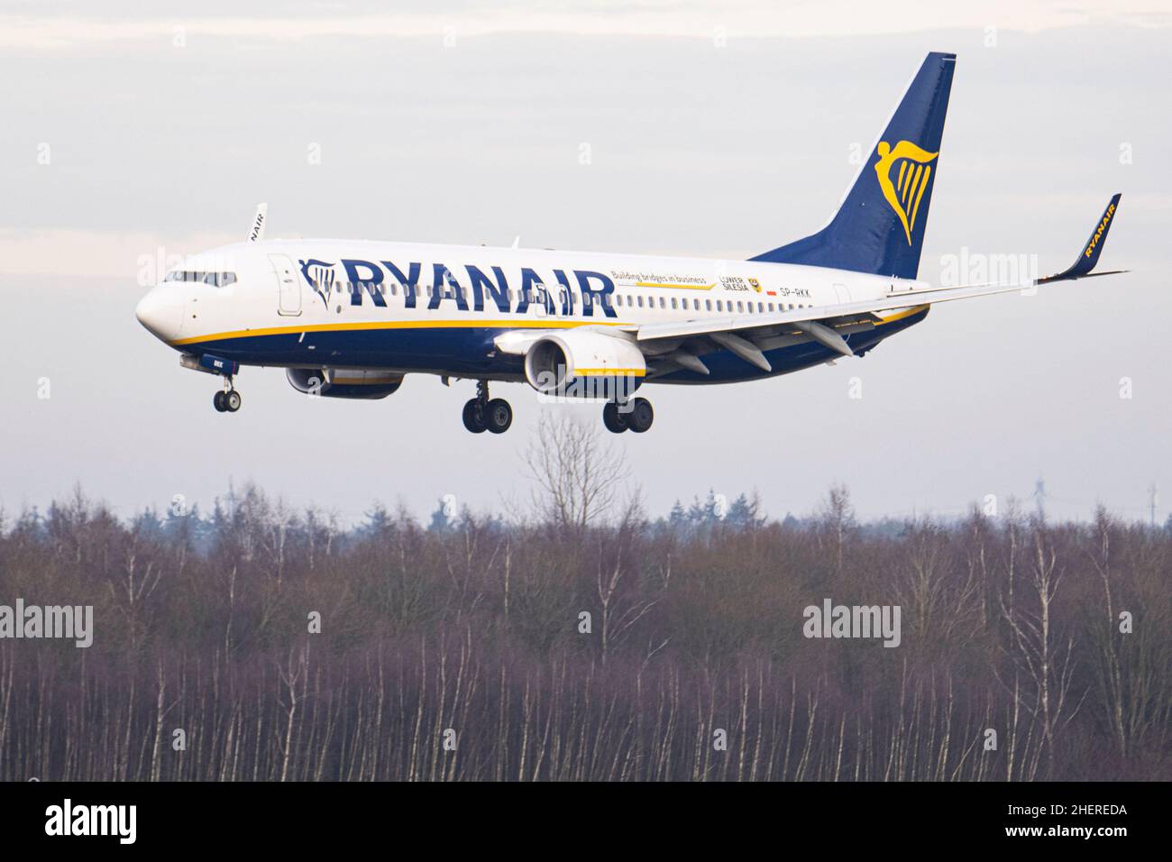 Eindhoven, Niederlande. 11th Januar 2022. Eine Boeing 737-800 der irischen Billigfluggesellschaft Ryanair - Buzz fliegt und landet auf dem niederländischen Flughafen Eindhoven. Das Billigflugflugzeug ist unter der Registrierung SP-RKK. Kredit: SOPA Images Limited/Alamy Live Nachrichten Stockfoto