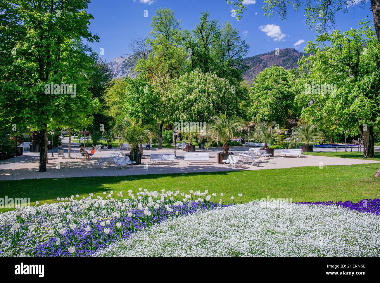 Königlicher Kurpark mit Blumengrenzen im Frühjahr, Bad Reichenhall, Berchtesgadener Land, Oberbayern, Bayern, Deutschland Stockfoto