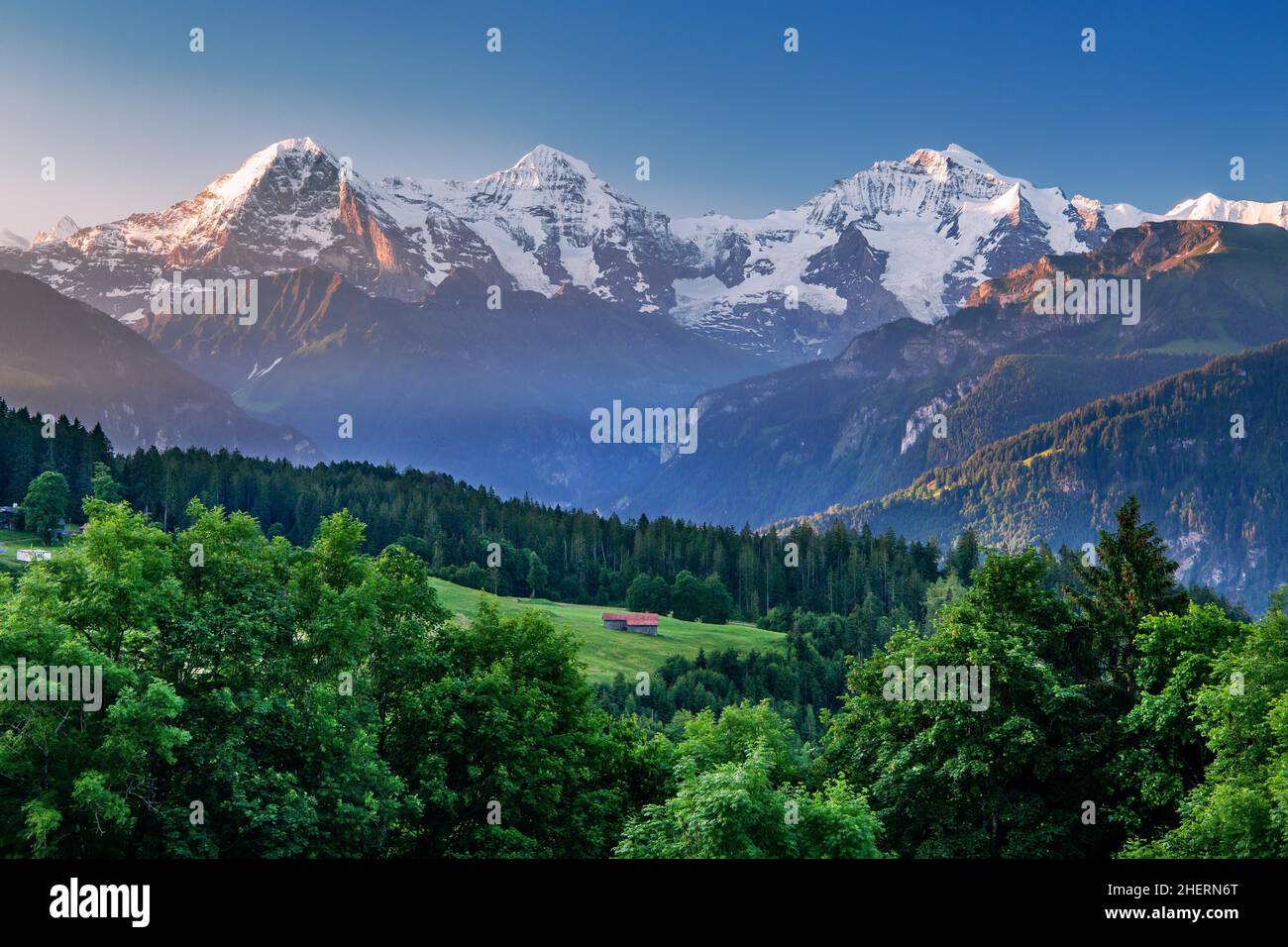 Eiger-Triumvirat mit Eiger-Nordwand, Mönch und Jungfrau bei Sonnenaufgang, Beatenberg, Berner Alpen, Berner Oberland, Kanton Bern, Schweiz Stockfoto