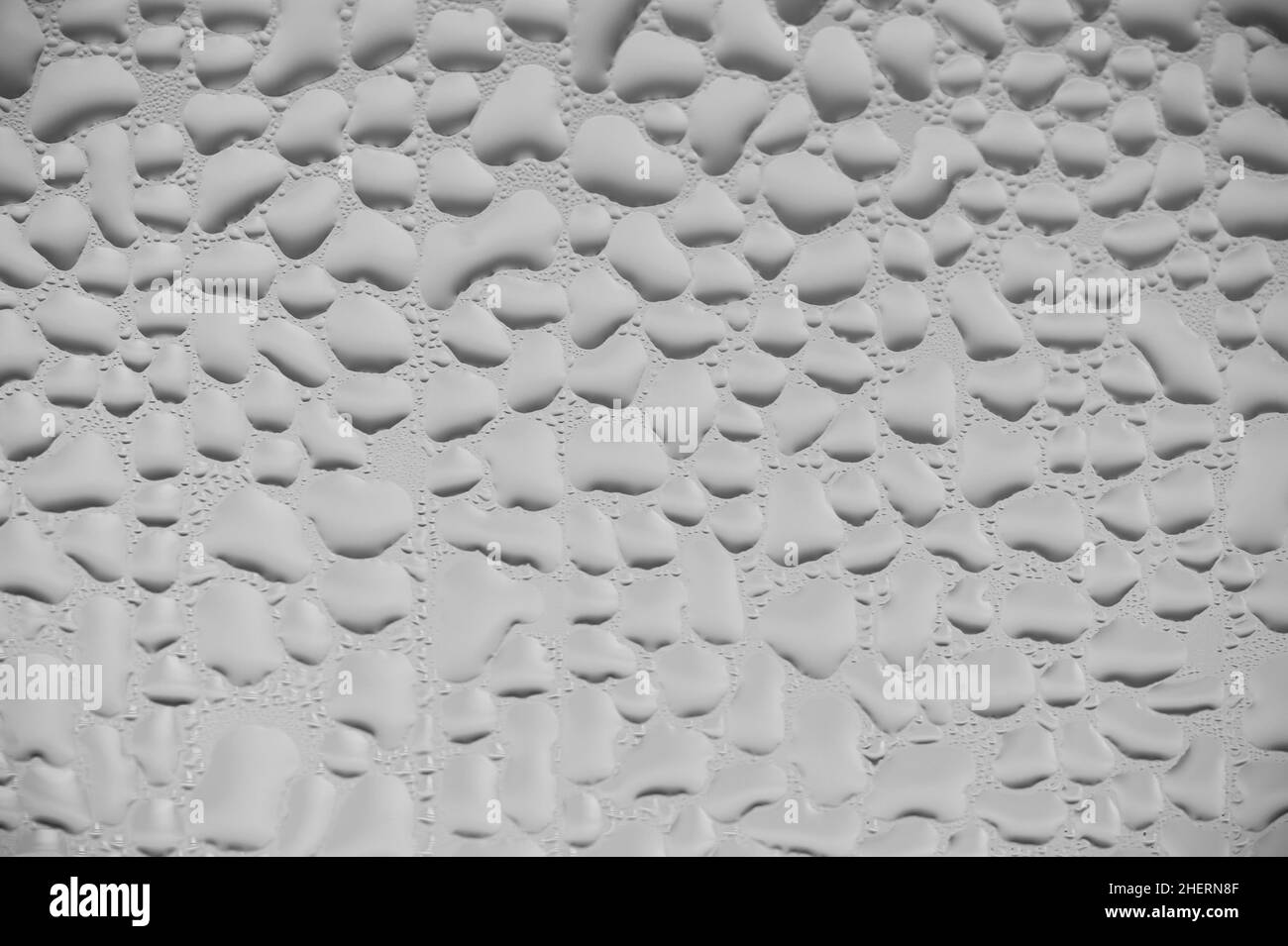 Nahaufnahme und Makroaufnahme Wassertropfen. Abstrakter Hintergrund Stockfoto