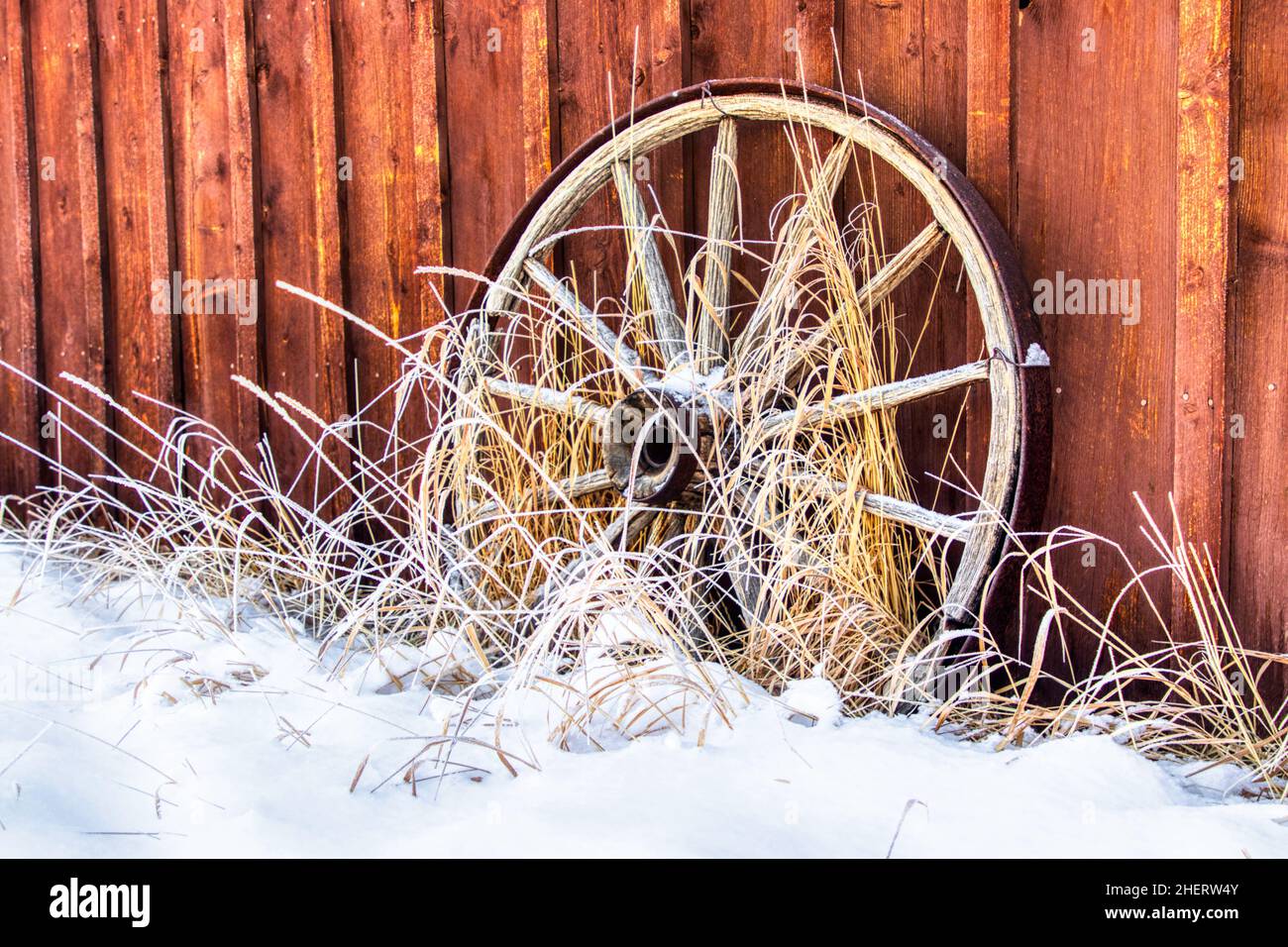 Wagon Wheel in Colorado während eines Schneesturms Stockfoto