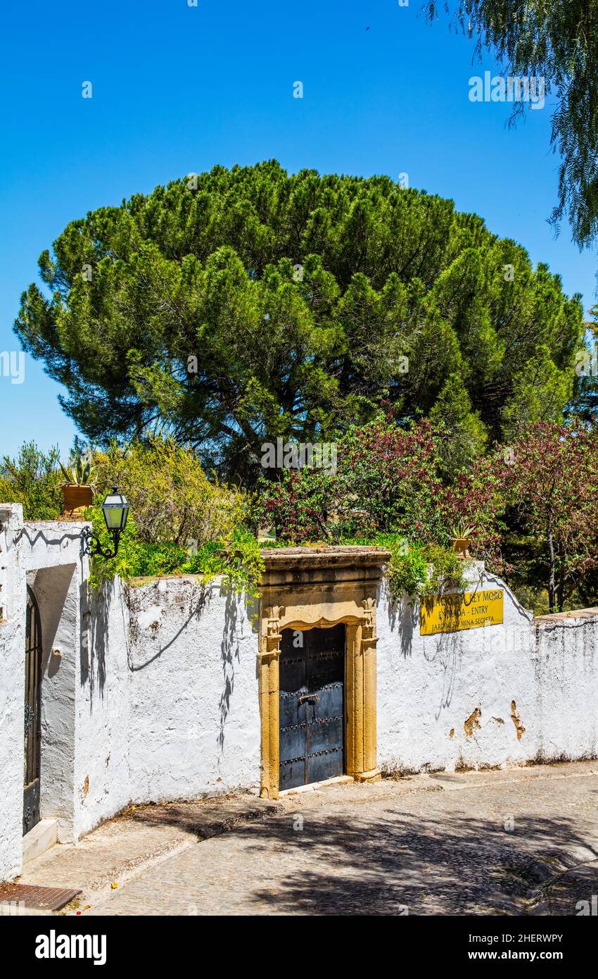 Ronda, eines der weißen Dörfer, Ronda, Andalusien, Spanien Stockfoto