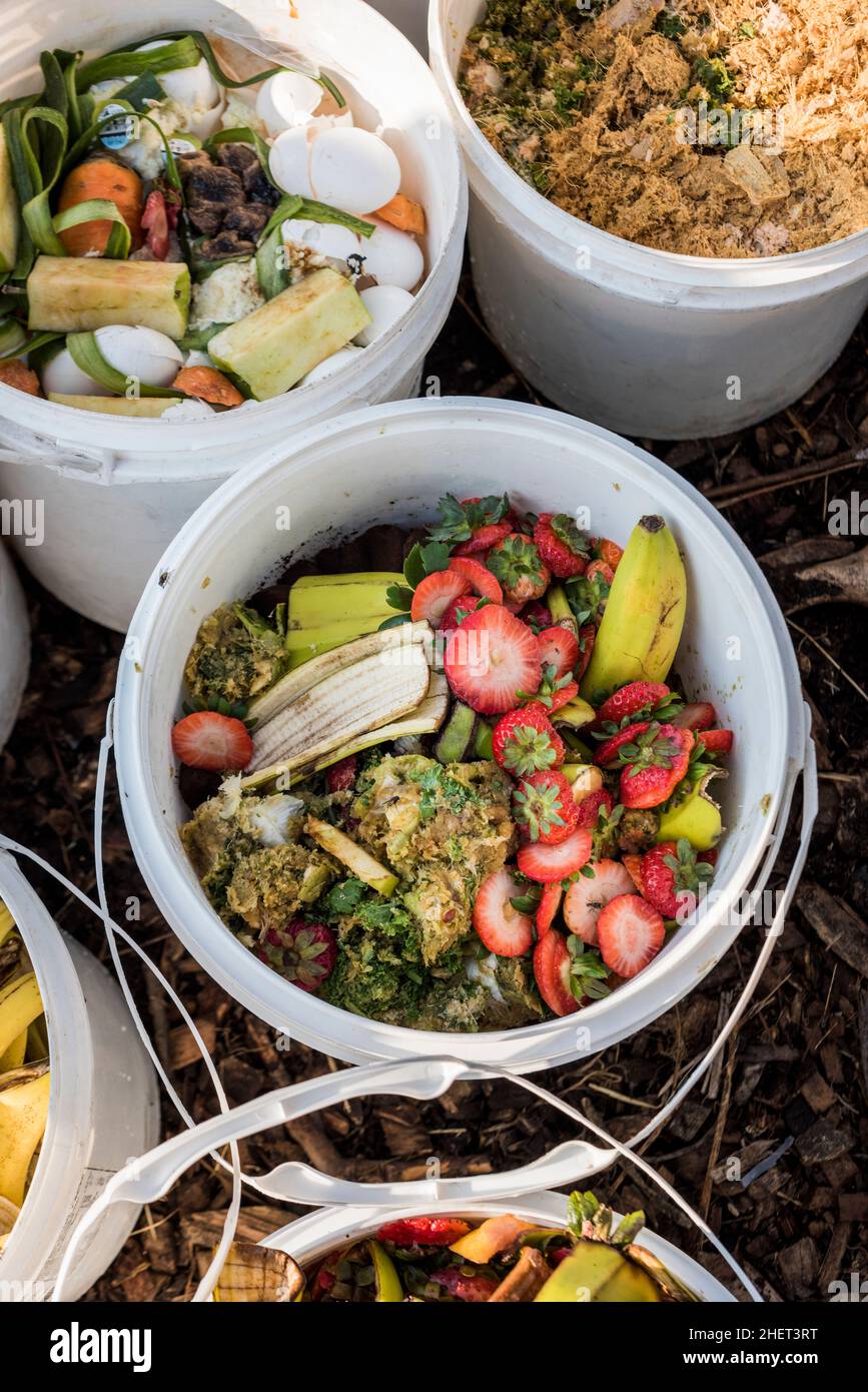 Lebensmittelabfälle aus lokalen Restaurants werden als Hühnerfutter für eine städtische Farm verwendet. Stockfoto