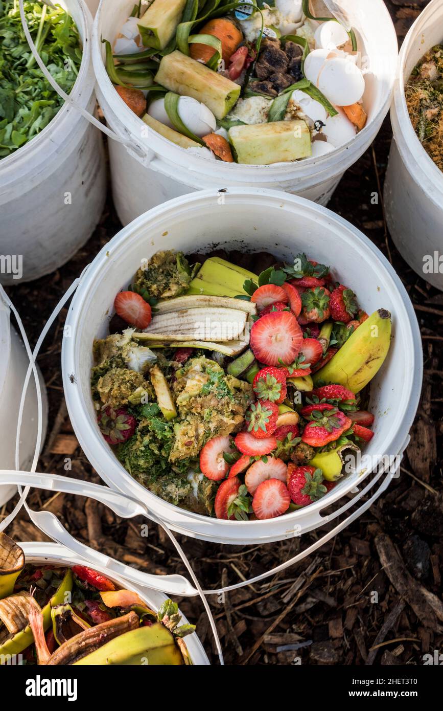 Lebensmittelabfälle aus lokalen Restaurants werden als Hühnerfutter für eine städtische Farm verwendet. Stockfoto