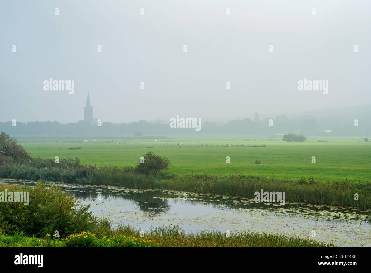 Neblige Landschaft mit Wiesen in der Nähe des Dorfes Elten, Deutschland Stockfoto