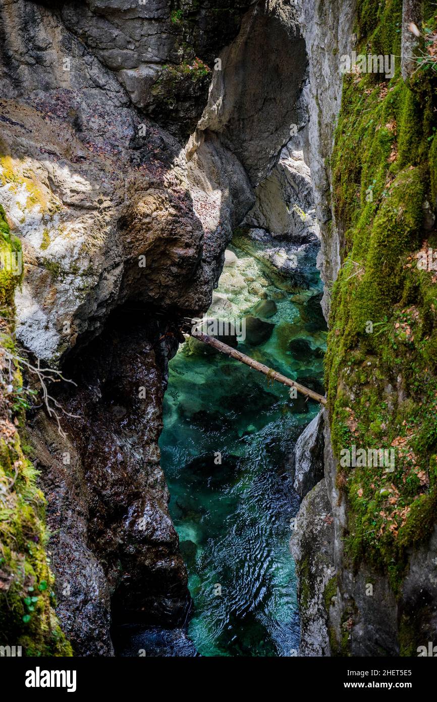 Bunte grüne Mostnica Schlucht, schneller Fluss im Triglav Nationalpark Stockfoto