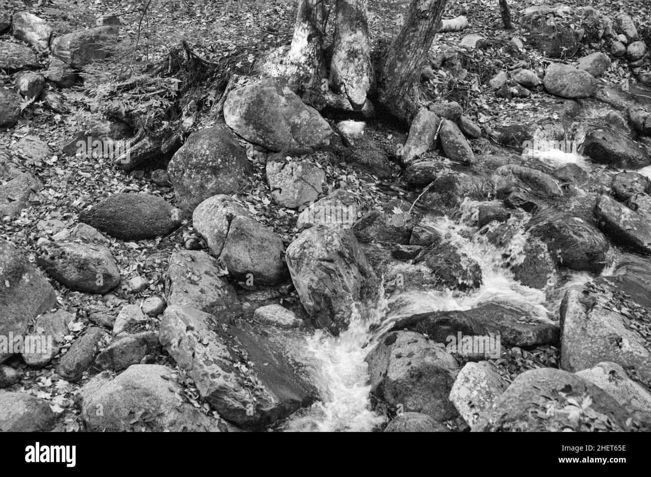 Rocky Splash Stockfoto