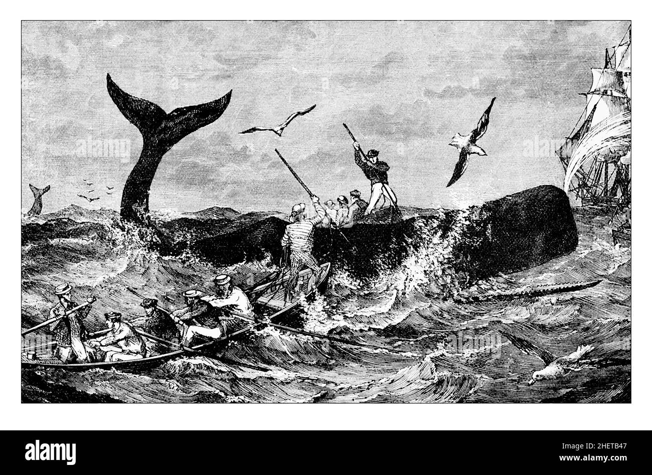 Walfang in einem kleinen offenen Boot, 1882 Kinderbuchlinien-Illlustration Stockfoto