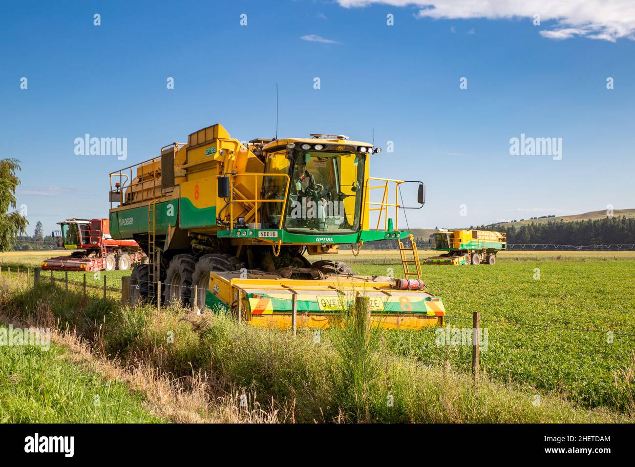 Annat, Canterbury, Neuseeland, Januar 10 2021: PEA-Weinbaumeister bei der Arbeit ernten im Sommer Erbsen für Watties auf einem canterbury-Farmfeld Stockfoto