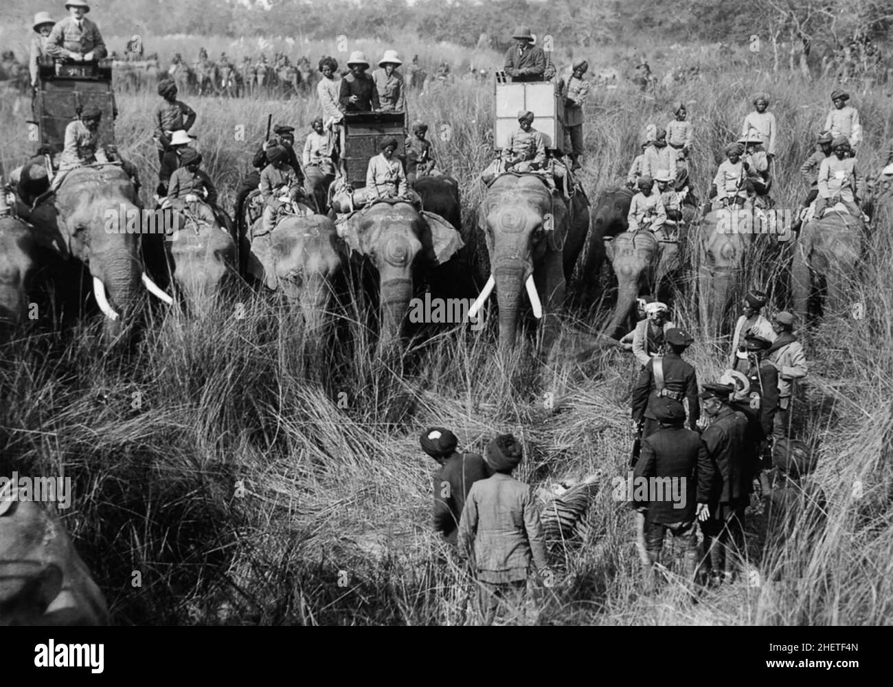 GEPRGE V (18651936) auf einer Tigerjagd in Nepali 1911 auf dem Mittelelefanten mit weißen Stoßzähnen. Stockfoto