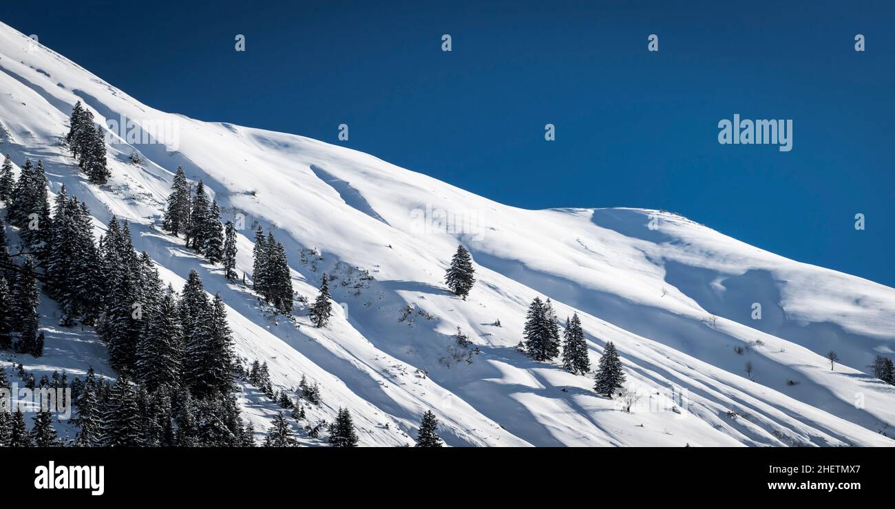 Stille Winterlandschaft auf österreichischem Berg mit Bäumen und Himmel Stockfoto