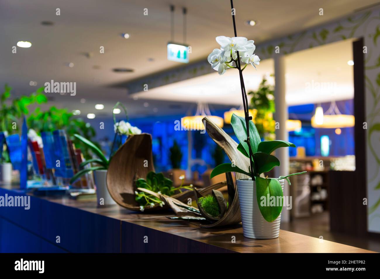 Blumendekoration an der Hotelrezeption Stockfoto