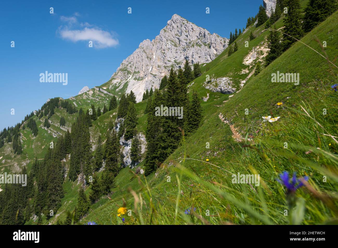 Bergwiese horizont -Fotos und -Bildmaterial in hoher Auflösung – Alamy