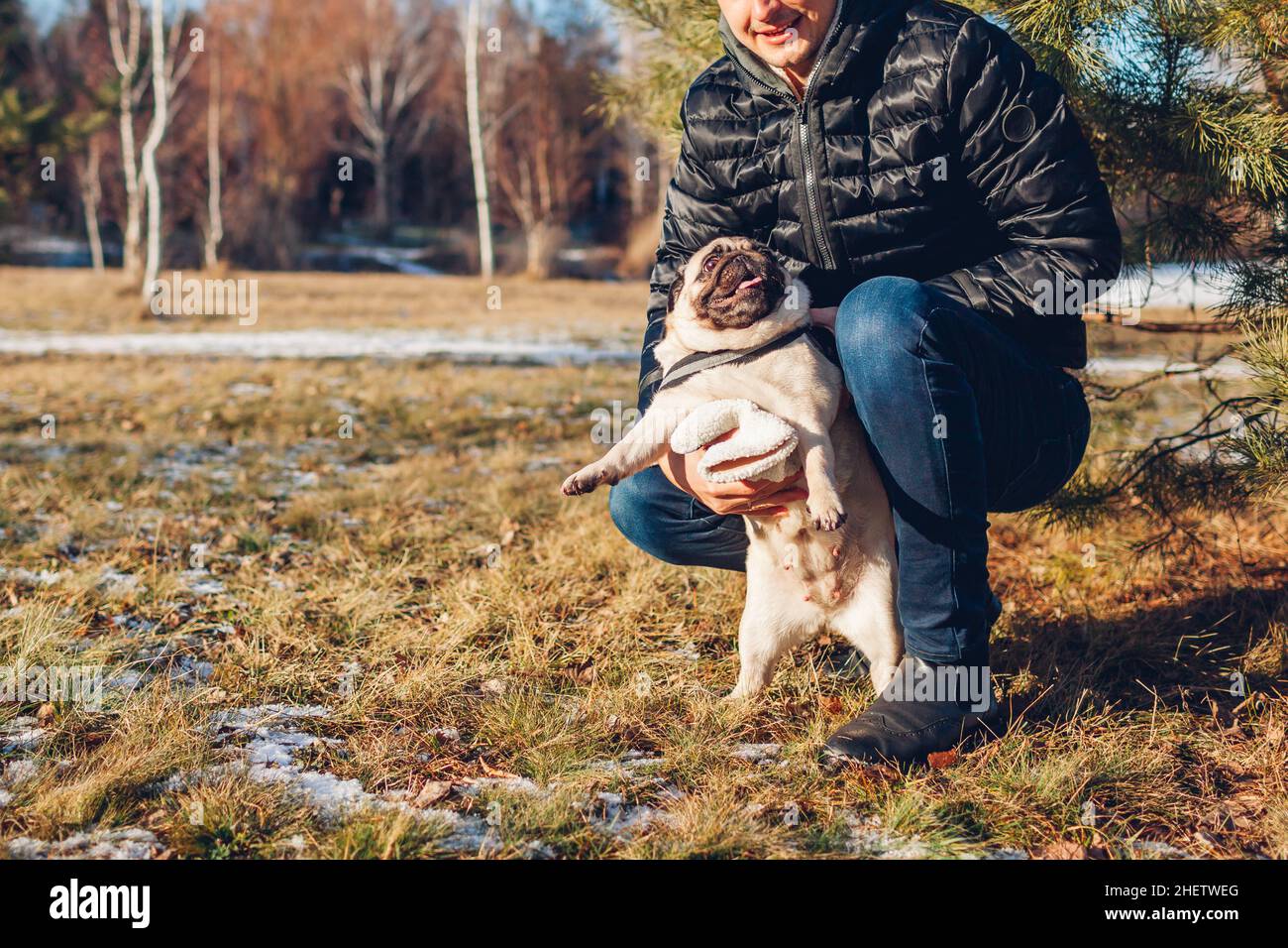Mann, der im verschneiten Winterpark den Mops läuft. Der Meister spielt mit einem Haustier, das es auf den Hinterbeinen hält. Aktivitäten im Freien mit Tieren Stockfoto