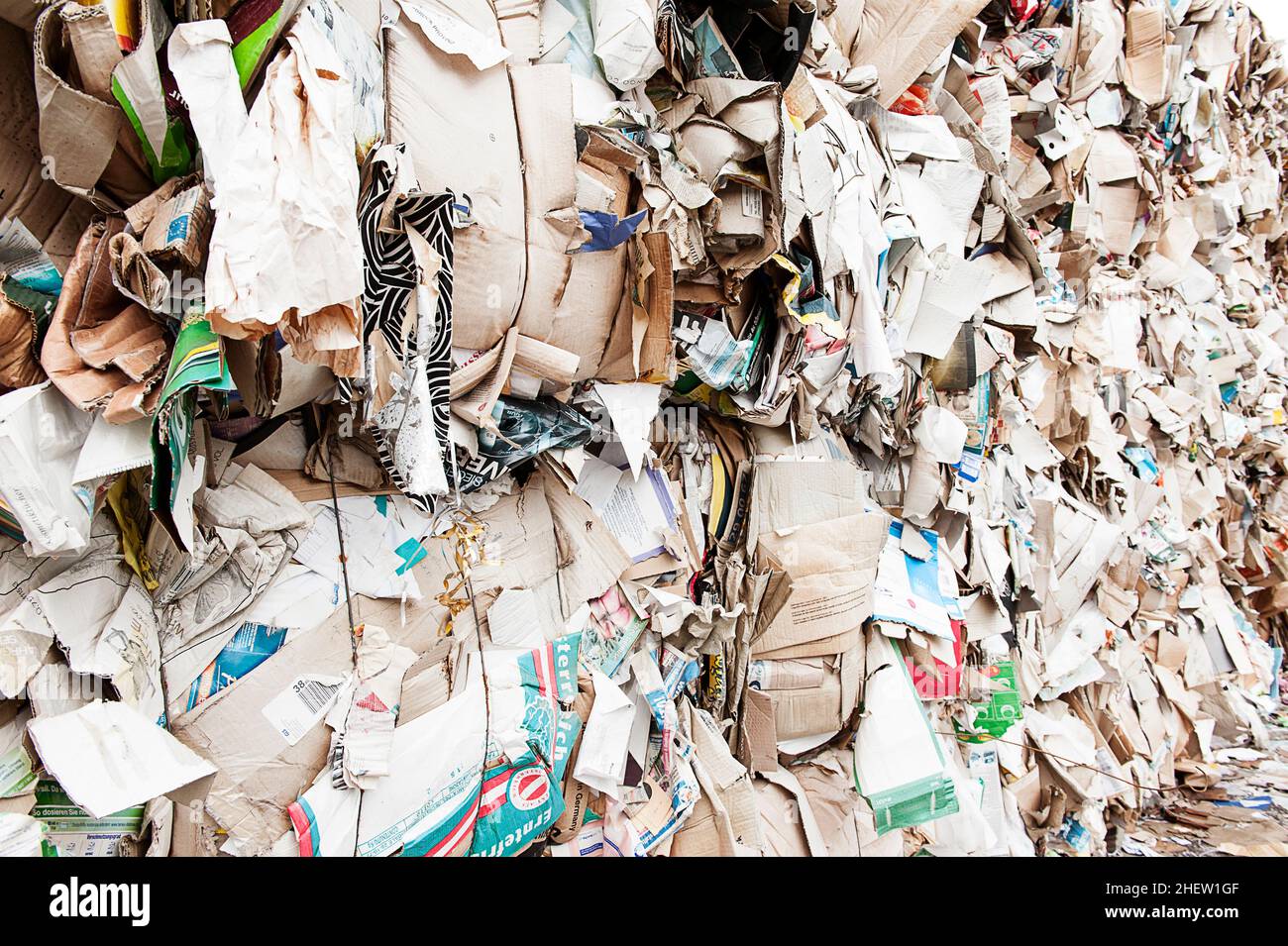 Gepresste Kartons aus Pappe, die für das Recycling vorbereitet sind Stockfoto