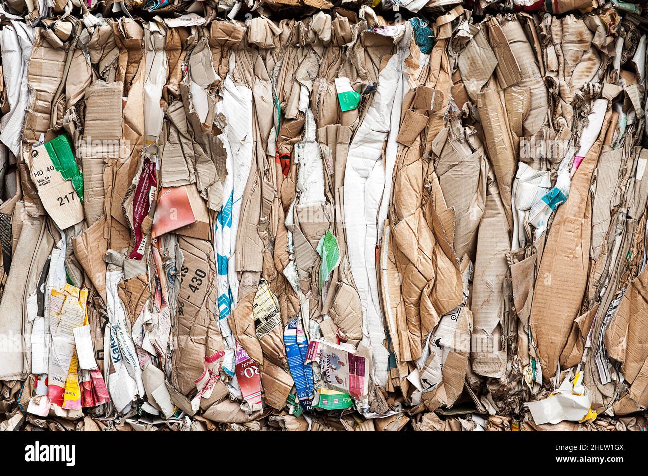 Gepresste Kartons aus Pappe, die für das Recycling vorbereitet sind Stockfoto