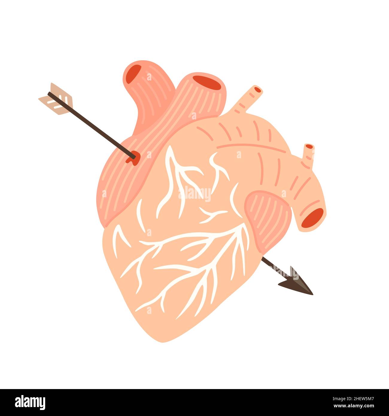 Menschliches Herz mit Amors Pfeil. Vektorgrafik flach Stock Vektor