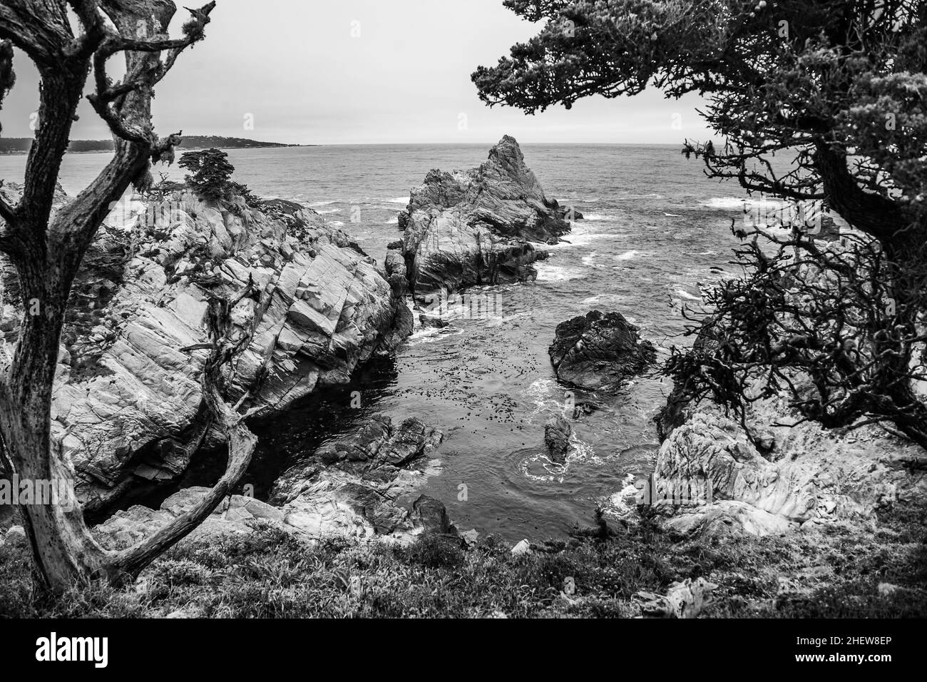 Cyprus Cove Trail am Point Lobos, Big-sur-Küste in Kalifornien, USA Stockfoto