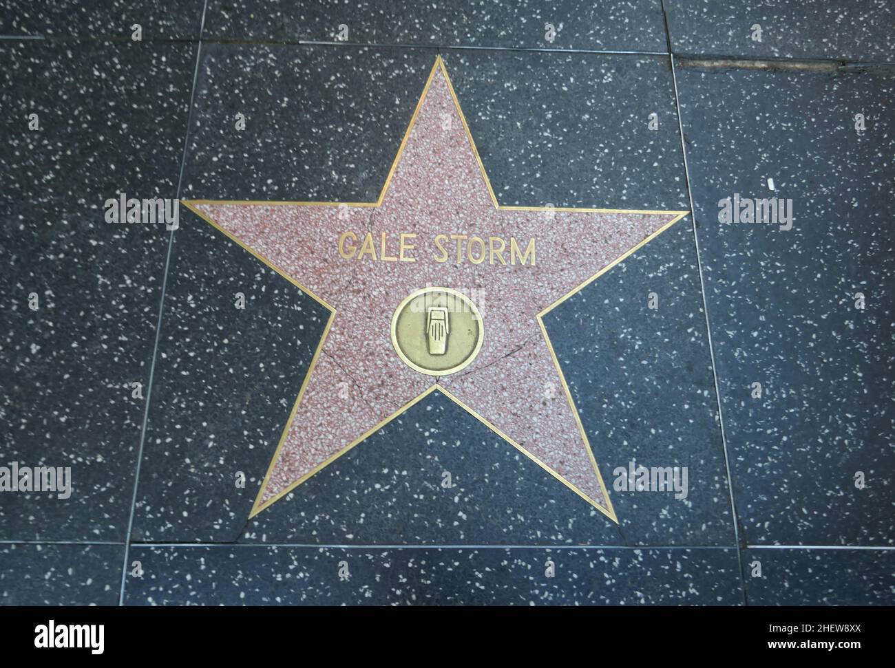 Los Angeles, Kalifornien, USA 11th. Januar 2022 Ein Blick auf die Atmosphäre des Hollywood Walk of Fame Stars der Schauspielerin Gale Storm am 11. Januar 2022 in Los Angeles, Kalifornien, USA. Foto von Barry King/Alamy Stockfoto Stockfoto