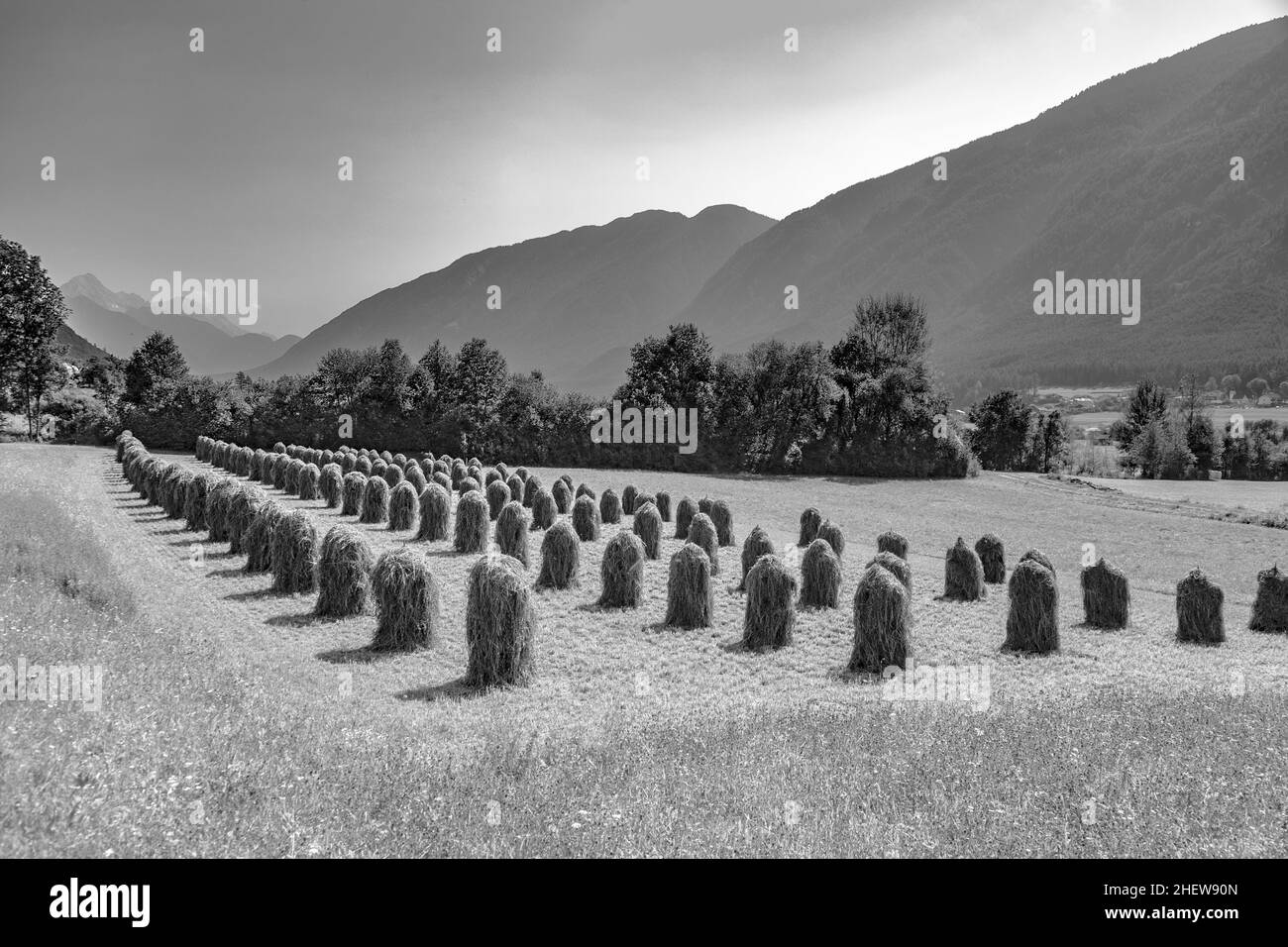 Schöne Landschaft in den tiroler Alpen, gut riechendes Gras und herrliche Berge Stockfoto