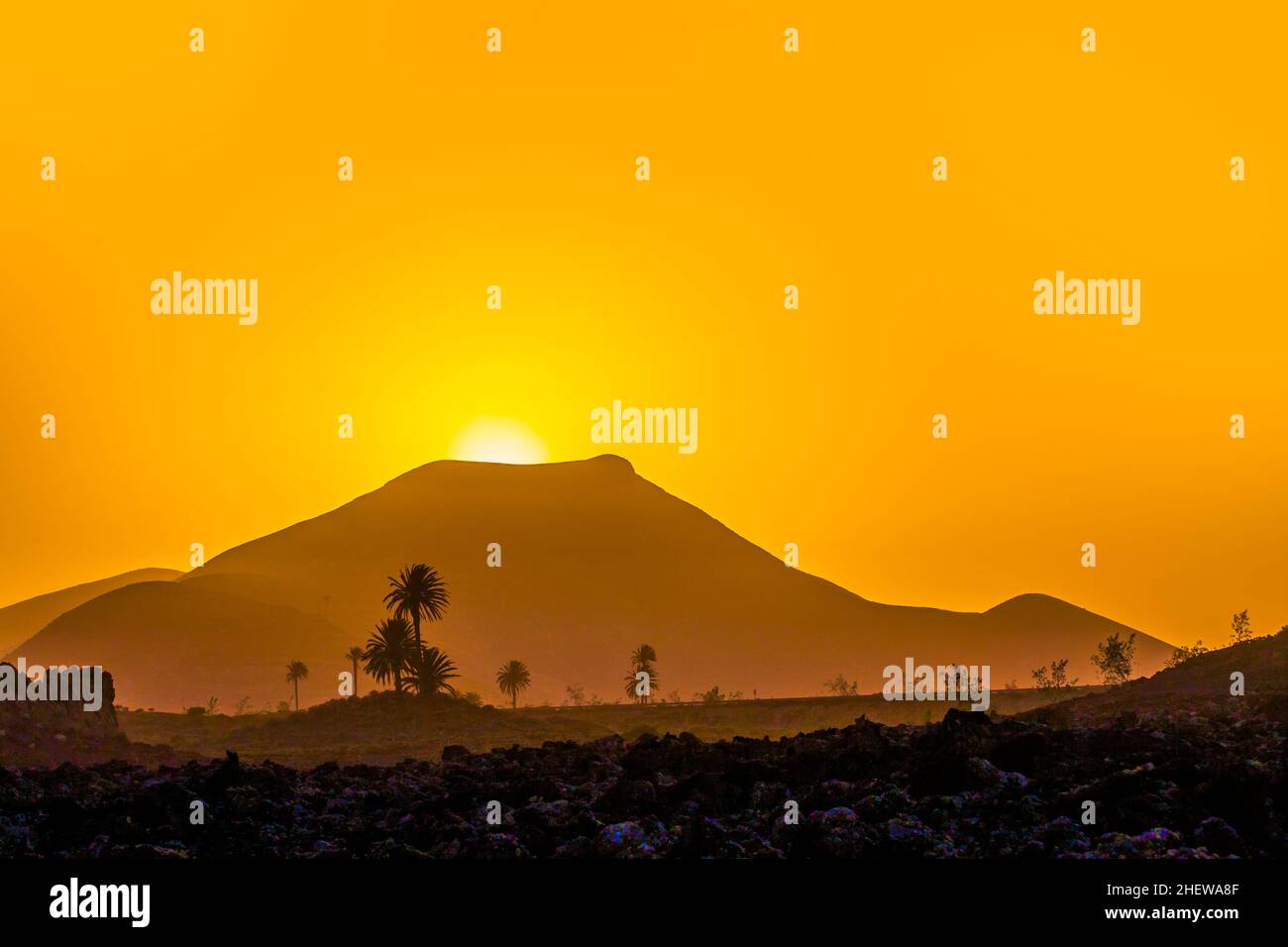 Romantischer Sonnenuntergang mit eigenständigen Bäumen im Vulkangebiet von Lanzarote Stockfoto