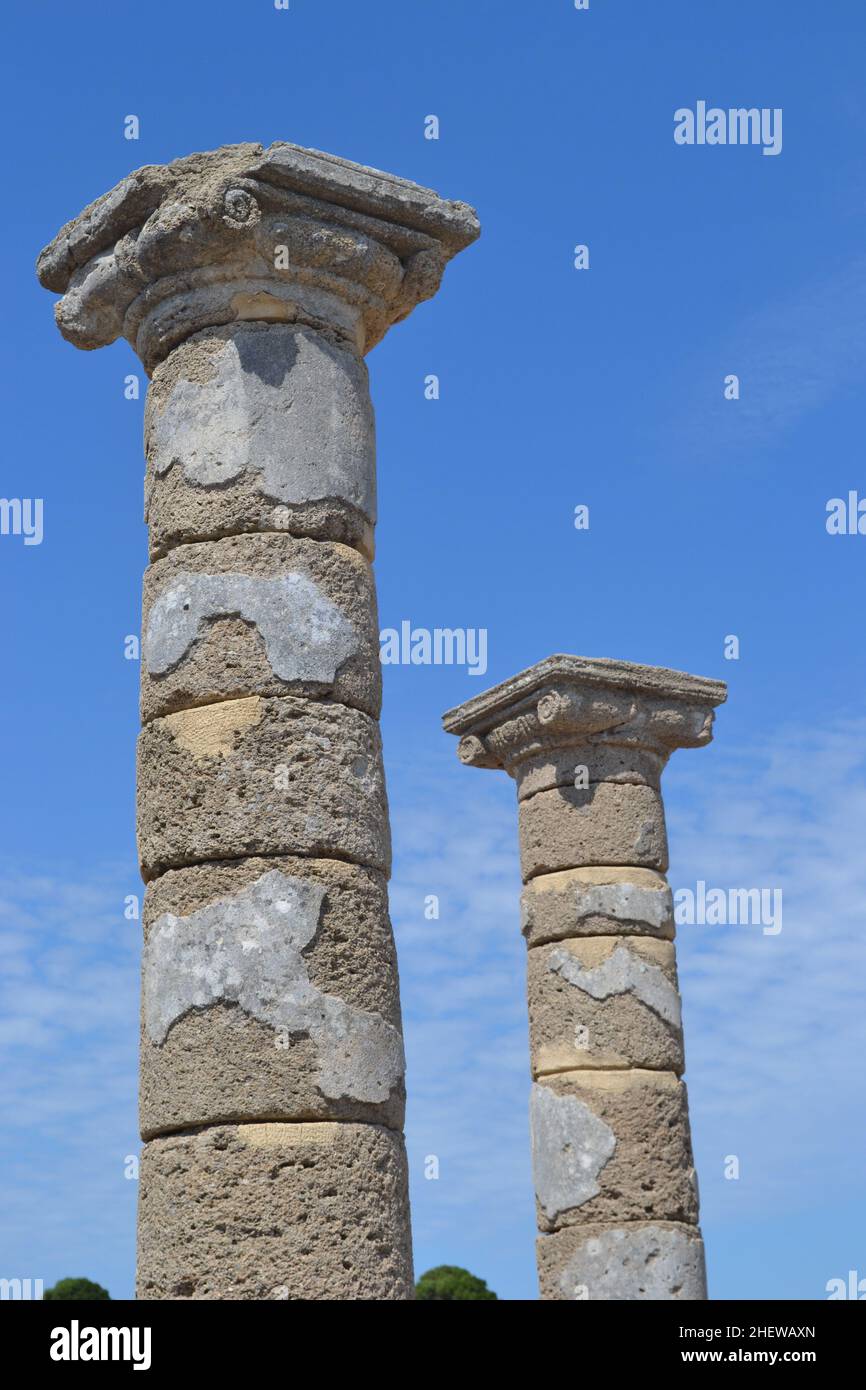 Baelo Claudia Antike Römische Ruinen, Cádiz, Spanien. Stockfoto