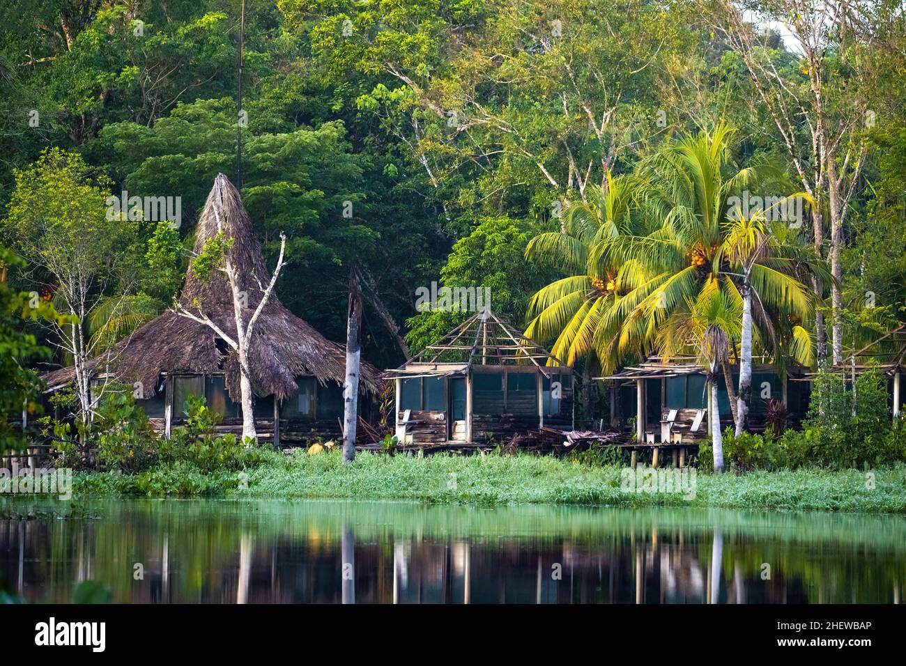 Tropische Hütte im Regenwald-Dschungel mit Palmen am Flussdelta Stockfoto