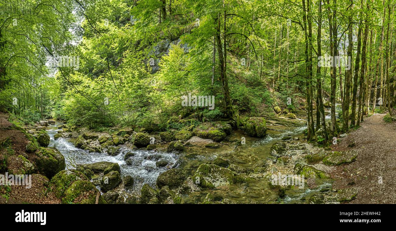 Cascades du Herisson, Wasserfälle des Herisson im französischen Jura Stockfoto