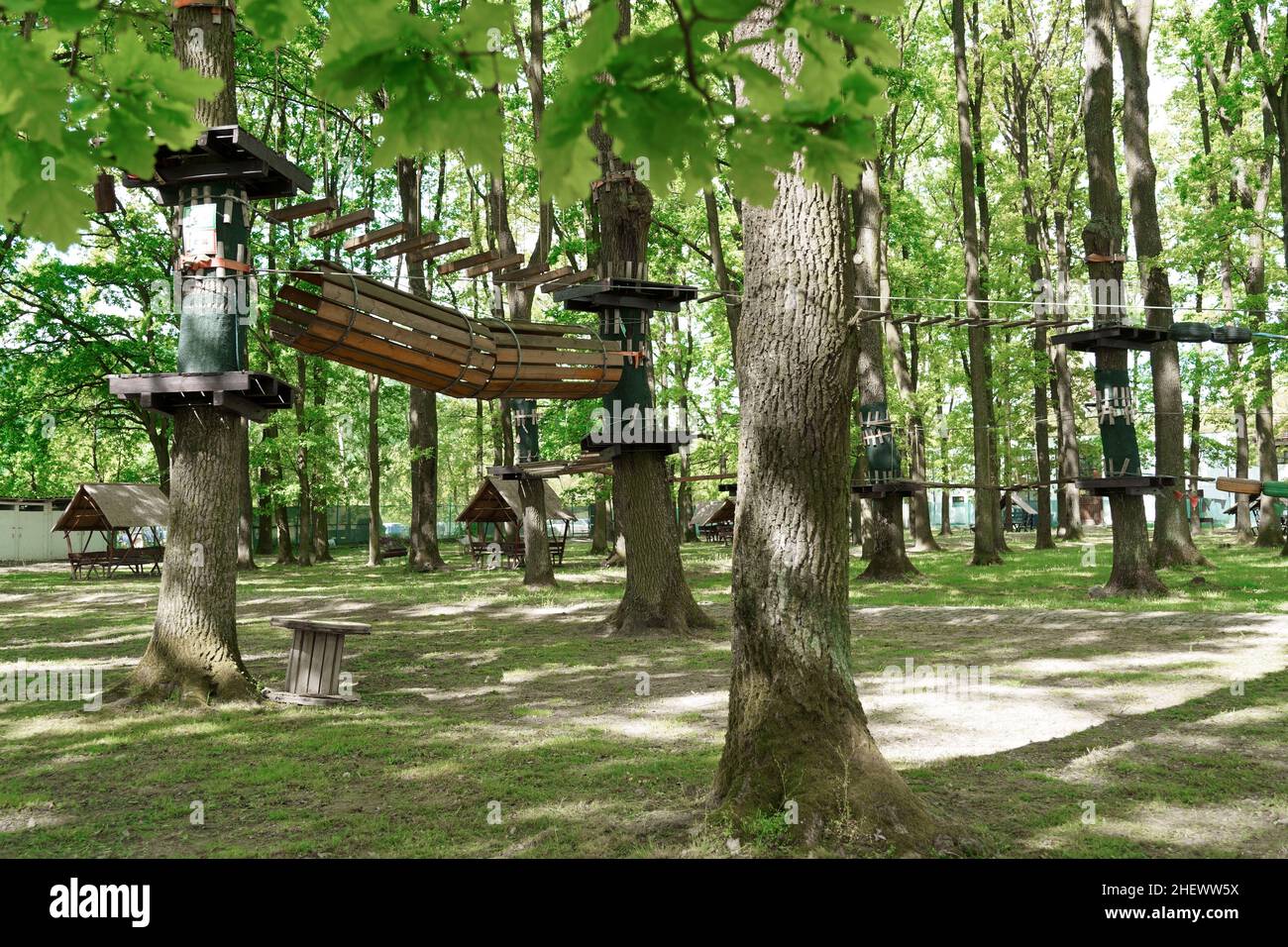 Die Brücken, Seile und Leitern des Kinder-Abenteuerparks sind für Anfänger im Wald unter hohen Bäumen konzipiert. Abenteuer Klettern in Stockfoto