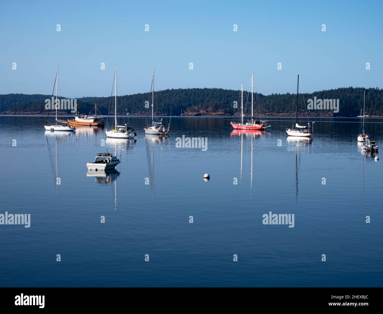 WA21087-00...WASHINGTON -Boote liegen in den ruhigen Gewässern des West Sound auf Orcas Island. Stockfoto