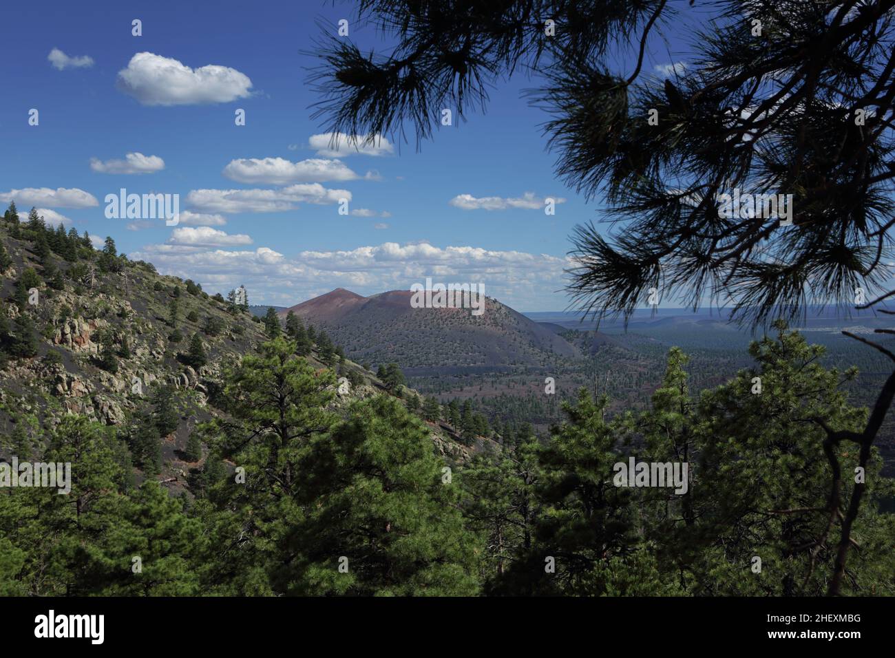 Blick auf den Vulkan des Zimtkegels des Sunset Crater und den von Pinien umrahmten Bonito Lava Flow vom O'Leary Peak Trail nördlich von Flagstaff, AZ, USA Stockfoto